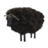 Small Black Sheep, Ray Growler