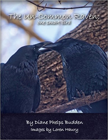 The Uncommon Raven: One Smart Bird