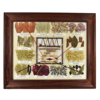 29694 DYE CHART: Med. Framed, Judith Myers, Dine'