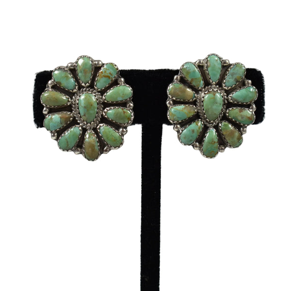 29835 ER: Turquoise Cluster Clip, Navajo