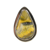 30515 RING: Bumble Bee Jasper, Marie Jackson, Dine
