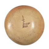 30909 POTTERY: Turtle Pin Hole, Terran Naha, Hopi