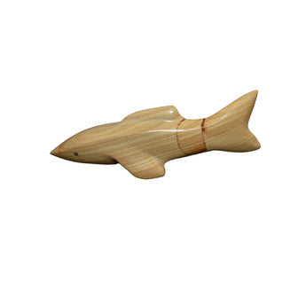 31027 FET: Shark, Kenny Chavez