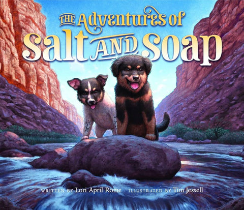 The Adventures of Salt and Soap