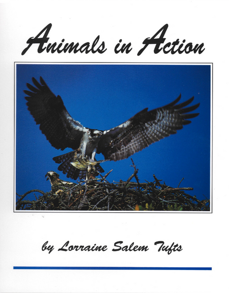 Animals in Action: A Book for Young Readers