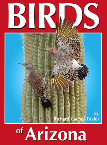 Birds of Arizona