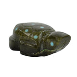 CHA352 FET: Ricolite Turtle, Amanda Suit

