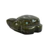 CHA352 FET: Ricolite Turtle, Amanda Suit

