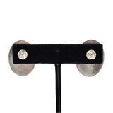 Orange Spiny Oyster Post Earrings