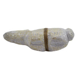 Sandstone Bear with Bundle