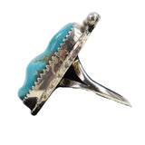 Kingman Turquoise Foot Ring