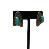 Satin Finish with Single Stone Earrings