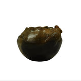 Scallop Top Pot