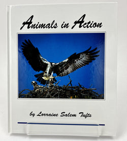 Animals in Action: A Book for Young Readers