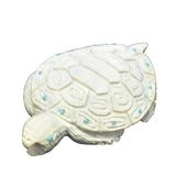  Soap Stone Turtle, Adrian Cachini