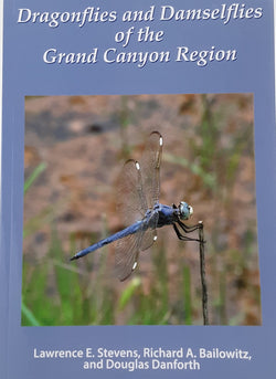 Dragonflies & Damselflies of the Grand Canyon Region