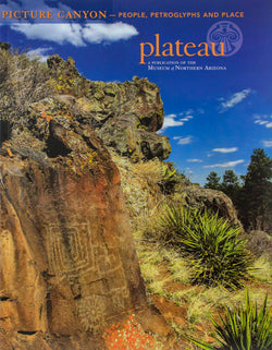 Plateau: Picture Canyon