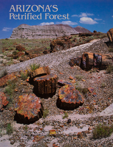 Plateau: Arizona's Petrified Forest