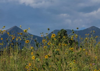 Ancient Inspiration Workshop: Poetry on the Plateau